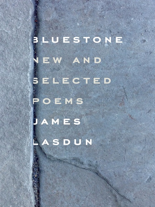 Title details for Bluestone by James Lasdun - Wait list